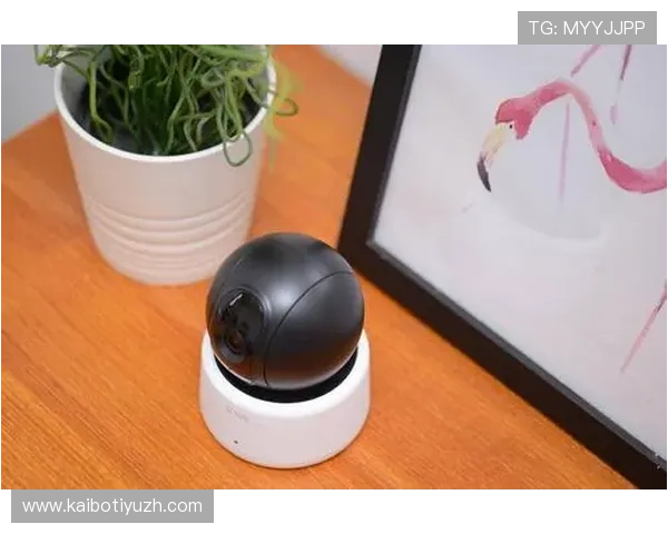 乐橙体育app多语言支持功能满足不同地区用户的使用需求